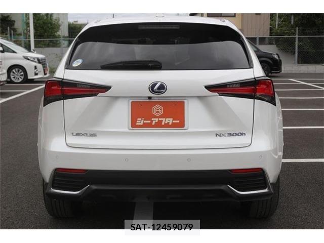 Lexus NX 2021-07 8666415-11