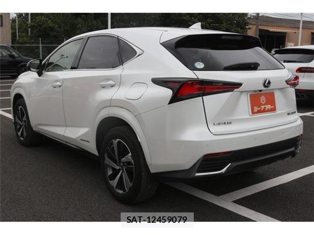 Lexus NX 2021-07 8666415-12