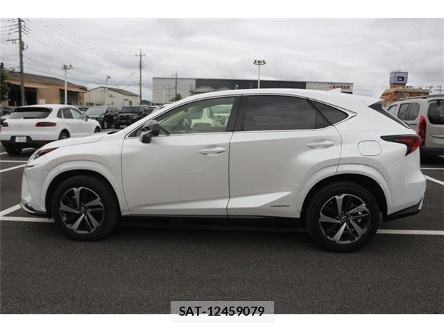 Lexus NX 2021-07 8666415-13