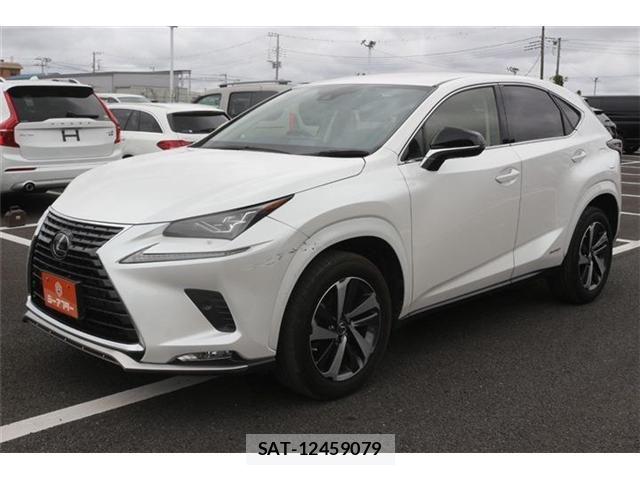 Lexus NX 2021-07 8666415-14