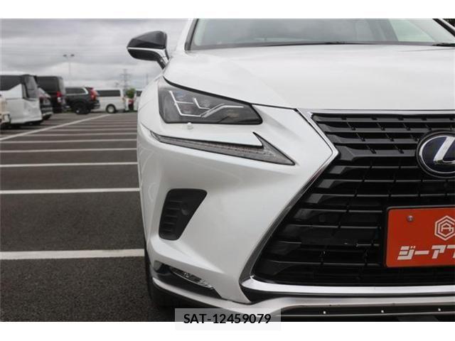 Lexus NX 2021-07 8666415-15