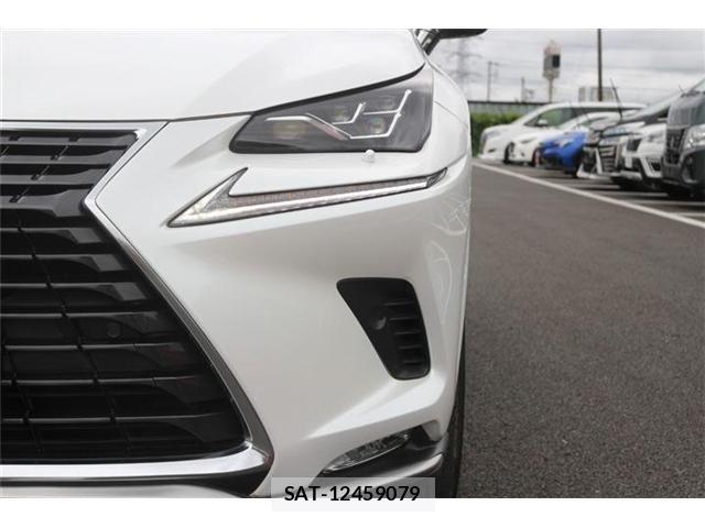 Lexus NX 2021-07 8666415-18