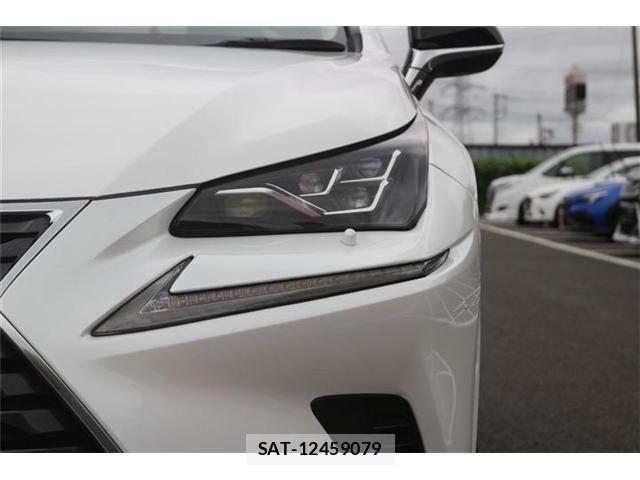 Lexus NX 2021-07 8666415-19