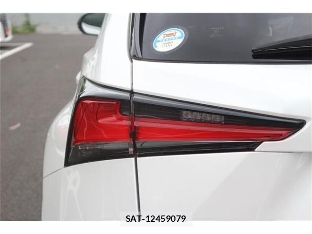 Lexus NX 2021-07 8666415-22