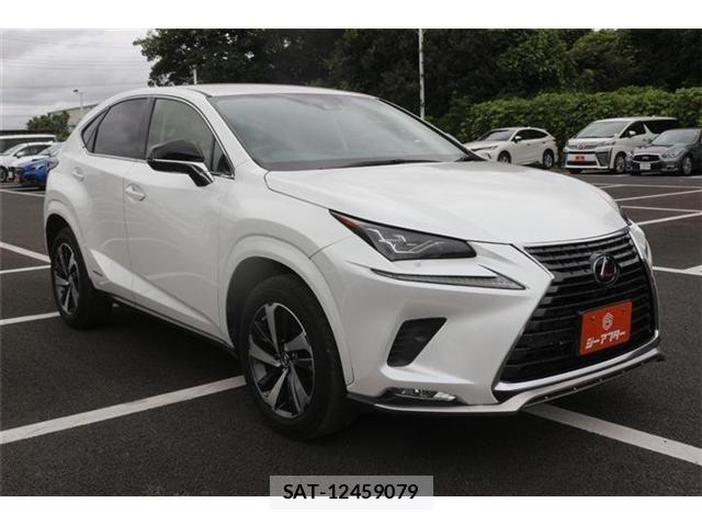 Lexus NX 2021-07 8666415-8