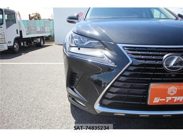 Lexus NX 2018-01 8659967-12