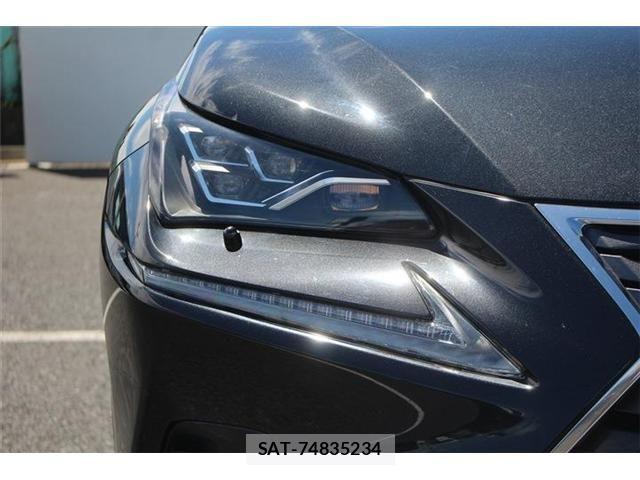 Lexus NX 2018-01 8659967-13