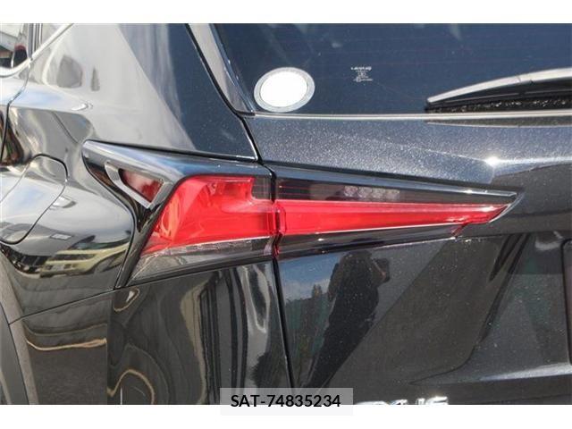 Lexus NX 2018-01 8659967-14