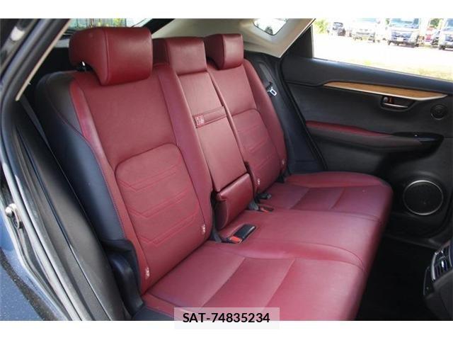 Lexus NX 2018-01 8659967-19
