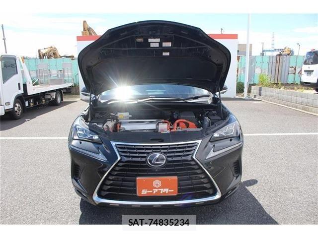 Lexus NX 2018-01 8659967-28