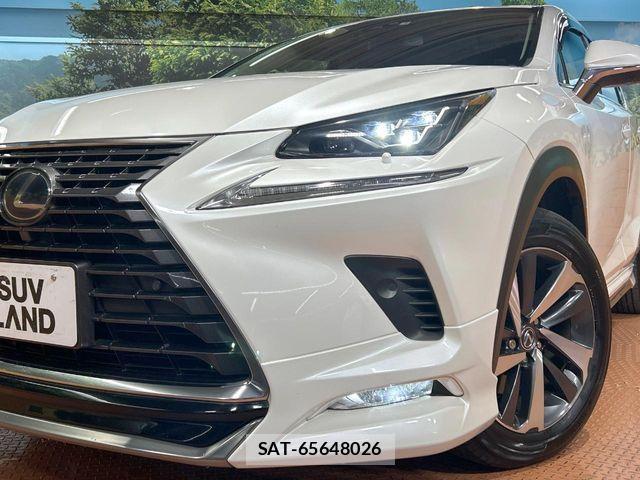 Lexus NX 2018-04 8659965-11