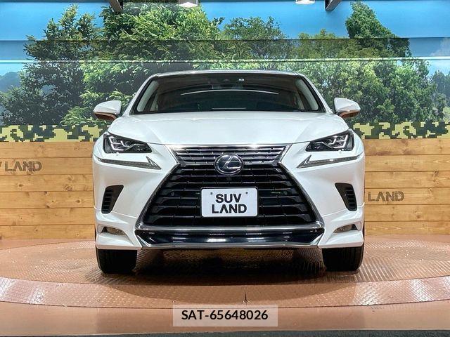 Lexus NX 2018-04 8659965-13
