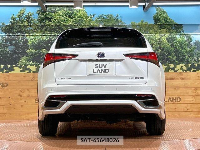 Lexus NX 2018-04 8659965-14