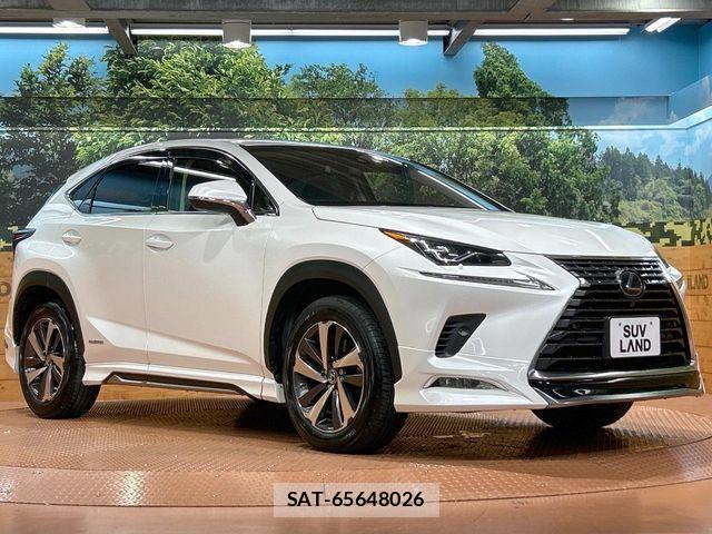 Lexus NX 2018-04 8659965-15