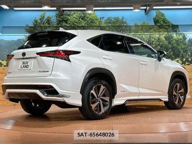Lexus NX 2018-04 8659965-16