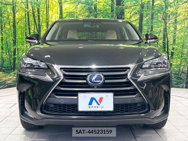 Lexus NX 2017-02 8685849-13