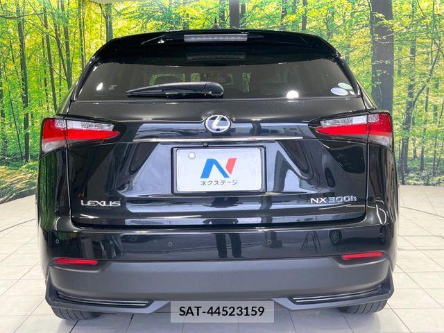 Lexus NX 2017-02 8685849-14