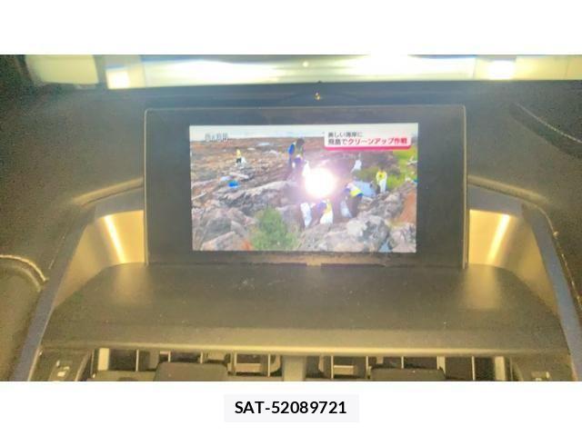 Lexus NX 2014-09 8743471-17