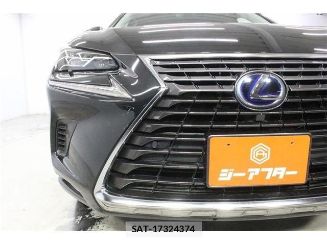 Lexus NX 2017-11 8743468-12