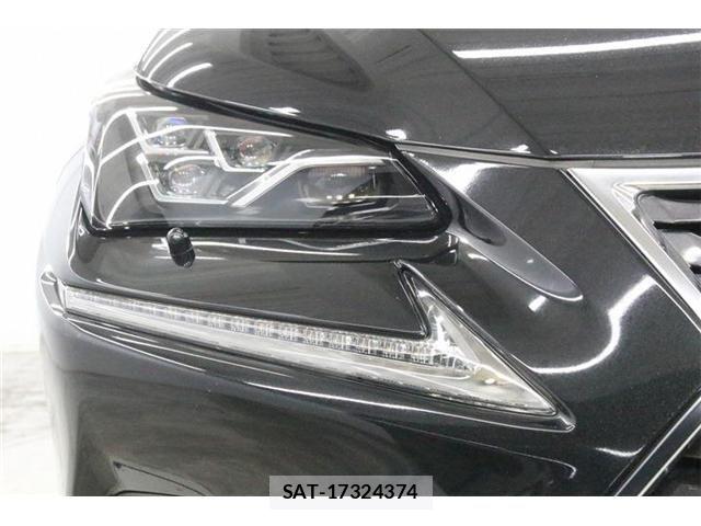 Lexus NX 2017-11 8743468-13