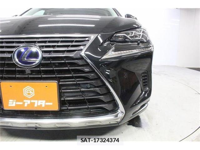 Lexus NX 2017-11 8743468-15