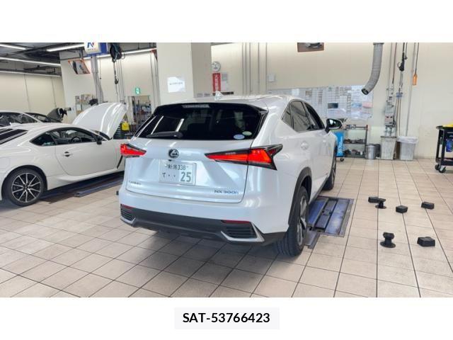 Lexus NX 2019-12 8743466-1
