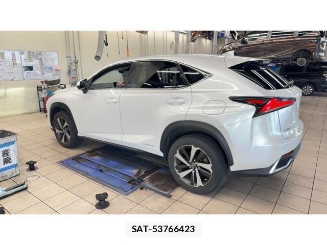 Lexus NX 2019-12 8743466-4