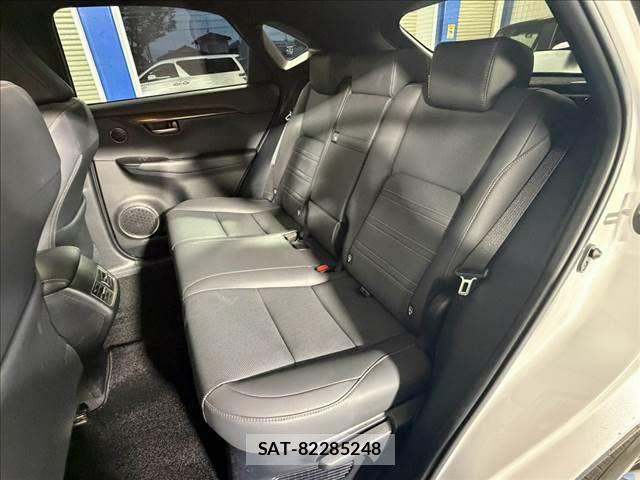 Lexus NX 2020-10 8743465-12