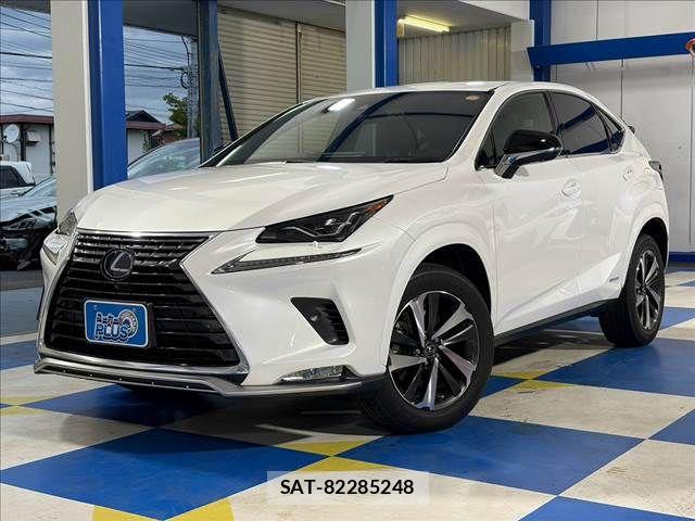 Lexus NX 2020-10 8743465-16