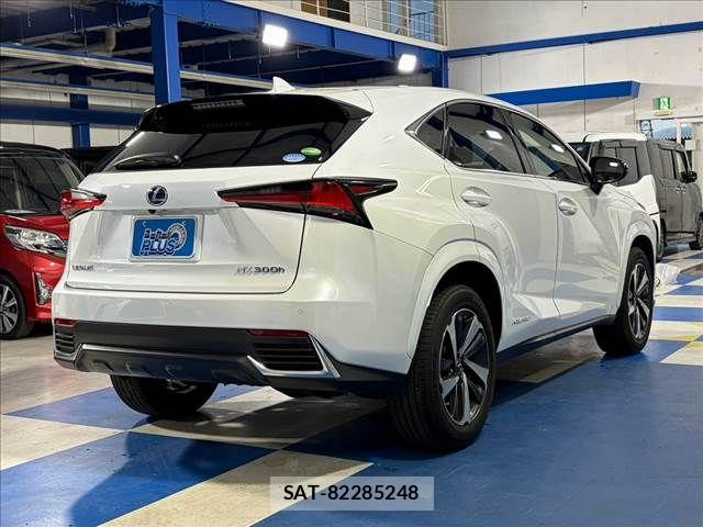Lexus NX 2020-10 8743465-18