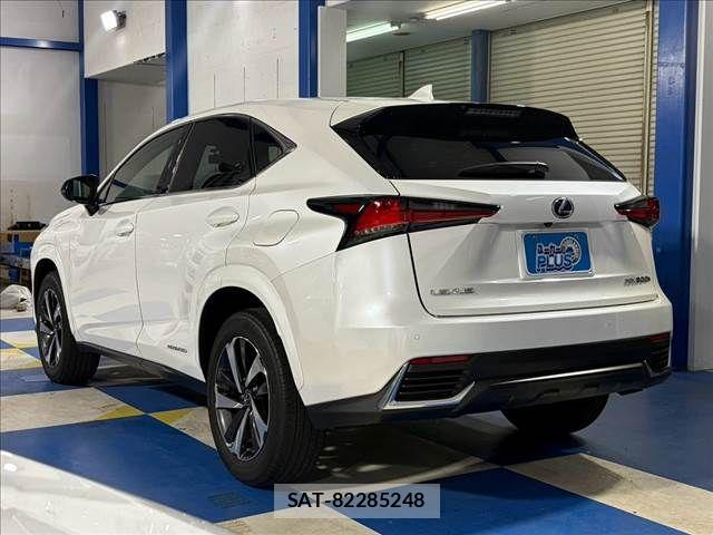 Lexus NX 2020-10 8743465-19