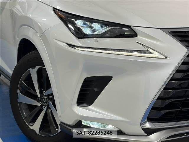 Lexus NX 2020-10 8743465-22