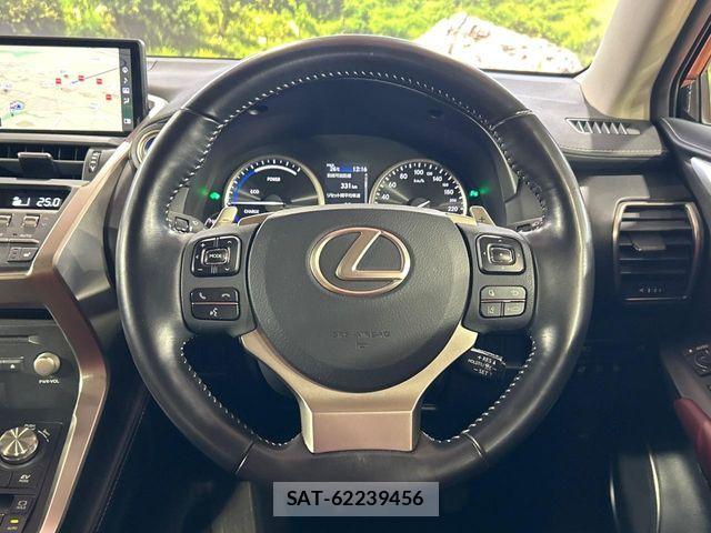 Lexus NX 2019-11 8780864-10