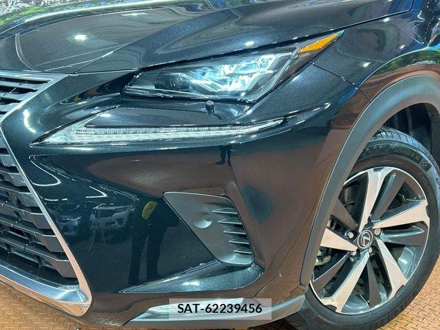 Lexus NX 2019-11 8780864-11