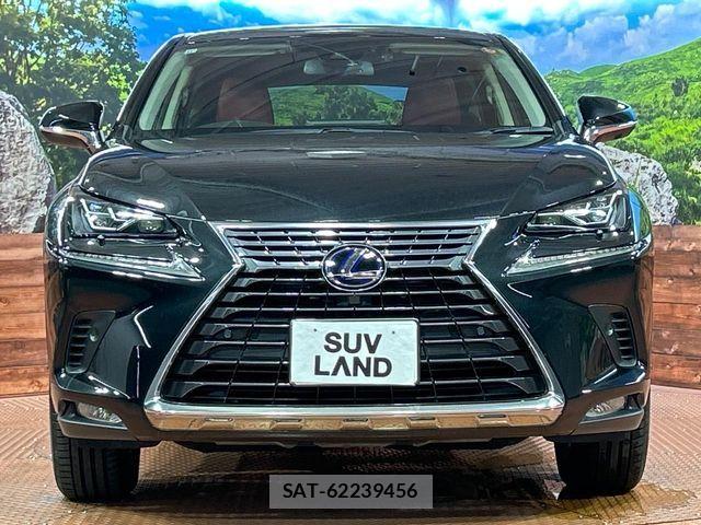 Lexus NX 2019-11 8780864-13
