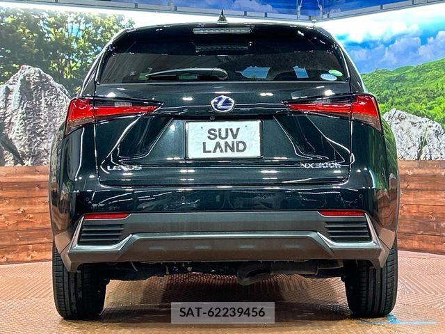 Lexus NX 2019-11 8780864-14