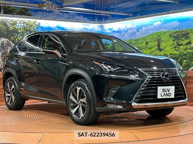 Lexus NX 2019-11 8780864-15