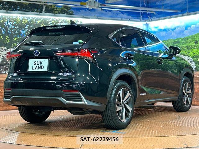 Lexus NX 2019-11 8780864-16