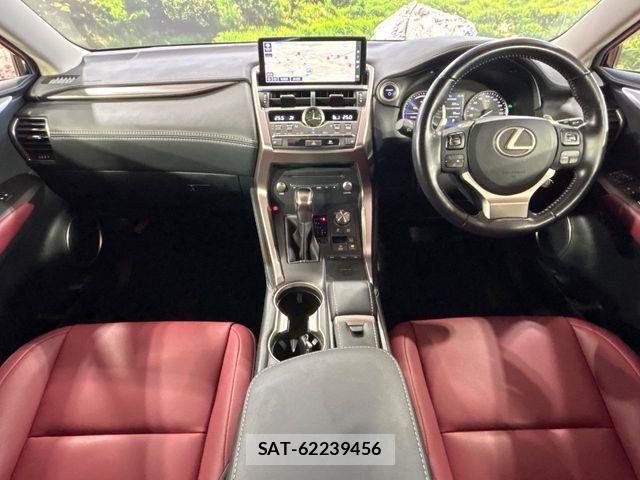 Lexus NX 2019-11 8780864-1
