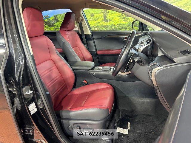 Lexus NX 2019-11 8780864-7