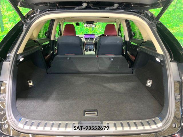 Lexus NX 2017-10 8780866-11