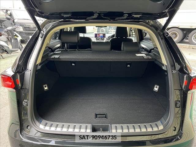 Lexus NX 2021-01 8780865-9