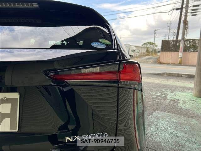 Lexus NX 2021-01 8780865-8