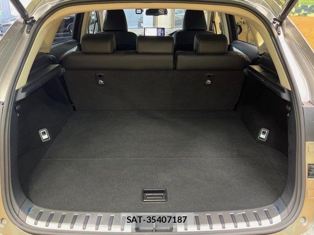 Lexus NX 2017-11 8780867-11