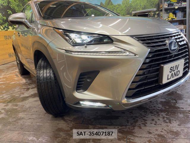 Lexus NX 2017-11 8780867-13