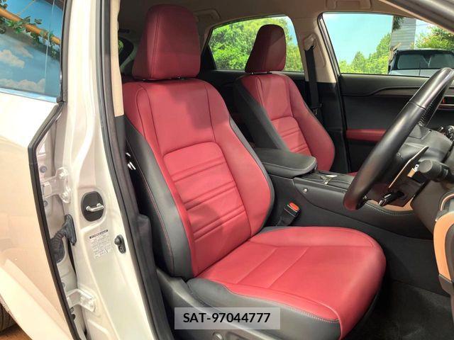 Lexus NX 2019-09 8796492-10
