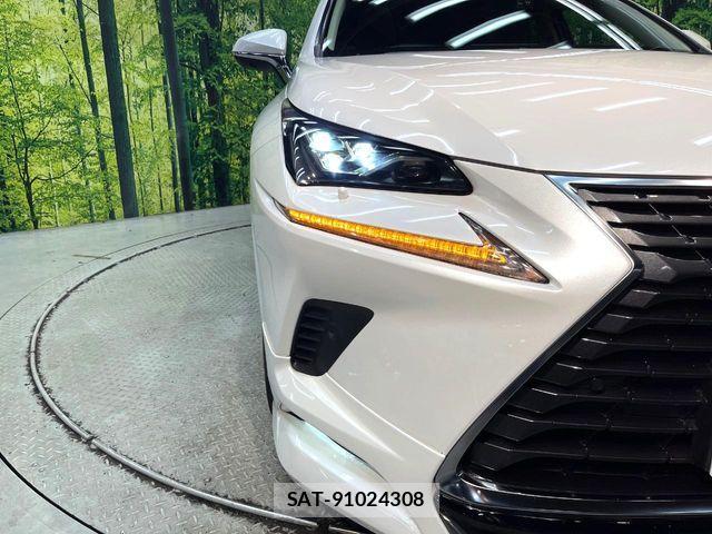 Lexus NX 2017-11 8796494-11