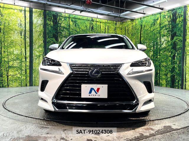 Lexus NX 2017-11 8796494-13