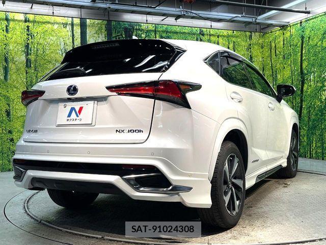 Lexus NX 2017-11 8796494-16