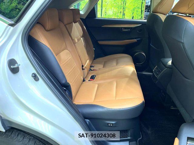 Lexus NX 2017-11 8796494-8